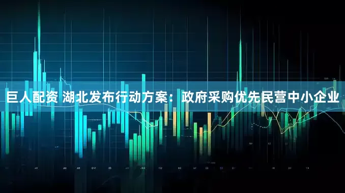 巨人配资 湖北发布行动方案：政府采购优先民营中小企业