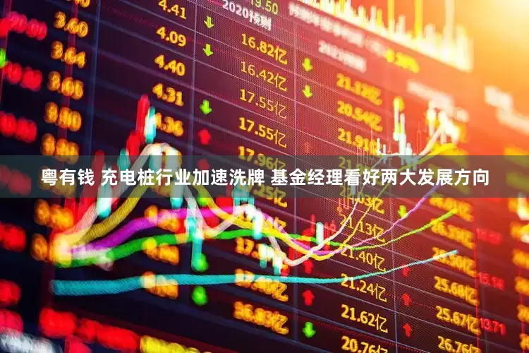 粤有钱 充电桩行业加速洗牌 基金经理看好两大发展方向